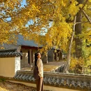 浮山森林公园 - 青岛市旅游 缩略图 1