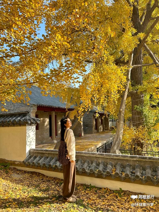 浮山森林公园 - 青岛市旅游