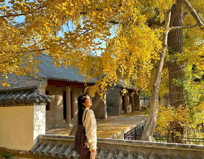 浮山森林公园 - 青岛市旅游 1