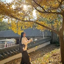 浮山森林公园 - 青岛市旅游 缩略图 2