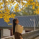 浮山森林公园 - 青岛市旅游 缩略图 6
