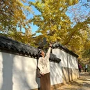 浮山森林公园 - 青岛市旅游 缩略图 7