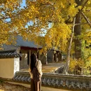 浮山森林公园 - 青岛市旅游 缩略图 8