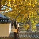 浮山森林公园 - 青岛市旅游 缩略图 9