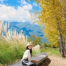 深江村委会 - 大理白族自治州旅游 缩略图 4
