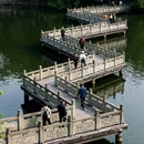 桂湖公园 - 成都市旅游 缩略图 3