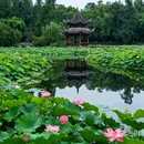 桂湖公园 - 成都市旅游 缩略图 4