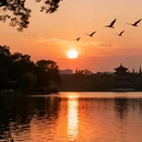 桂湖公园 - 成都市旅游 缩略图 6