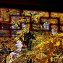毗卢寺 - 南京市旅游 缩略图 2