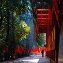 毗卢寺 - 南京市旅游 缩略图 8