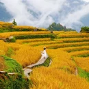 云和梯田景区 - 丽水市旅游 缩略图 1