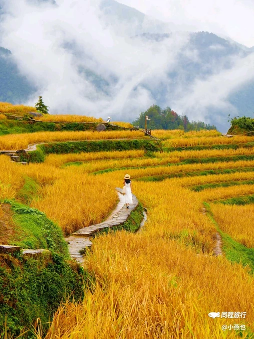 云和梯田景区 - 丽水市旅游