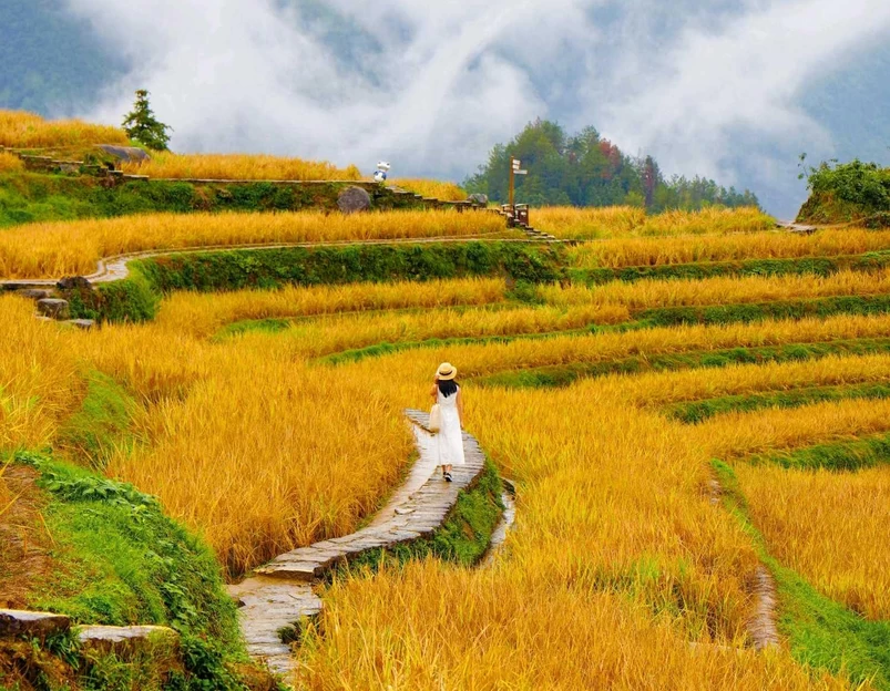 云和梯田景区 - 丽水市旅游 1