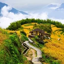 云和梯田景区 - 丽水市旅游 缩略图 5