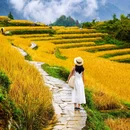 云和梯田景区 - 丽水市旅游 缩略图 2