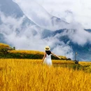 云和梯田景区 - 丽水市旅游 缩略图 6