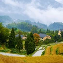 云和梯田景区 - 丽水市旅游 缩略图 7