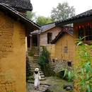 云和梯田景区 - 丽水市旅游 缩略图 9