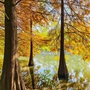 燕雀湖风景区 - 南京市旅游 缩略图 5