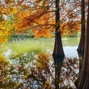 燕雀湖风景区 - 南京市旅游 缩略图 2