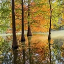 燕雀湖风景区 - 南京市旅游 缩略图 7