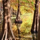 燕雀湖风景区 - 南京市旅游 缩略图 9
