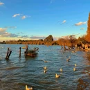 捞鱼河湿地公园 - 昆明市旅游 缩略图 2