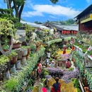 梦景雅悦酒店 - 丽江市旅游 缩略图 1