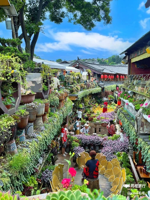 梦景雅悦酒店 - 丽江市旅游