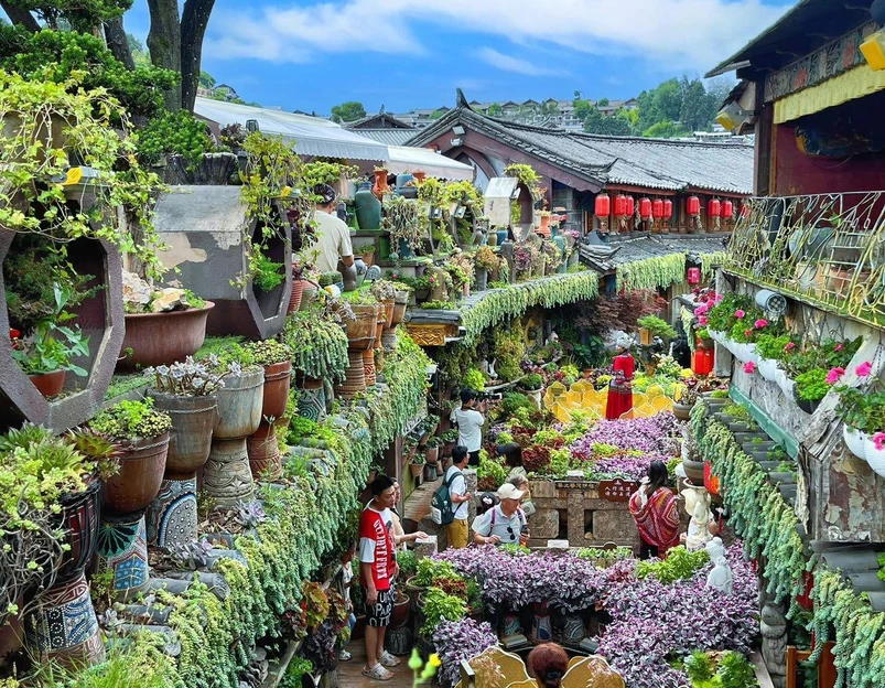 梦景雅悦酒店 - 丽江市旅游 1