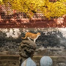 太原文庙 - 太原市旅游 缩略图 3