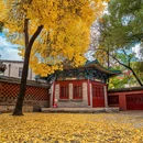 太原文庙 - 太原市旅游 缩略图 6