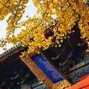 太原文庙 - 太原市旅游 缩略图 9