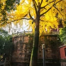 中国科学院武汉植物园 - 武汉市旅游 缩略图 4