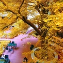 圆明园遗址公园 - 北京市旅游 缩略图 3