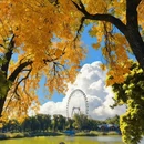 圆明园遗址公园 - 北京市旅游 缩略图 6
