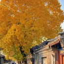 圆明园遗址公园 - 北京市旅游 缩略图 9