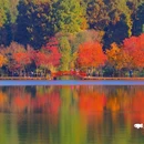 栖霞山风景名胜区 - 南京市旅游 缩略图 4