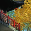 栖霞山风景名胜区 - 南京市旅游 缩略图 7