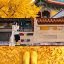 博山客运站 - 淄博市旅游 缩略图 2