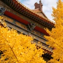 博山客运站 - 淄博市旅游 缩略图 1