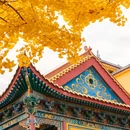 博山客运站 - 淄博市旅游 缩略图 9