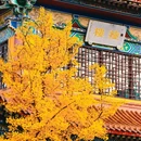 博山客运站 - 淄博市旅游 缩略图 6