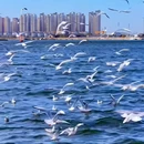 老码头 - 天津市旅游 缩略图 5