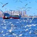 老码头 - 天津市旅游 缩略图 1