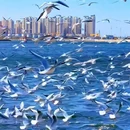老码头 - 天津市旅游 缩略图 2