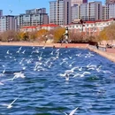 老码头 - 天津市旅游 缩略图 6