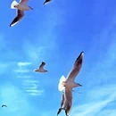 老码头 - 天津市旅游 缩略图 7