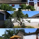 牟氏庄园 - 烟台市旅游 缩略图 1