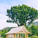 婺城区逸境·宋酒店(古子城步行街店) - 金华市旅游 缩略图 5